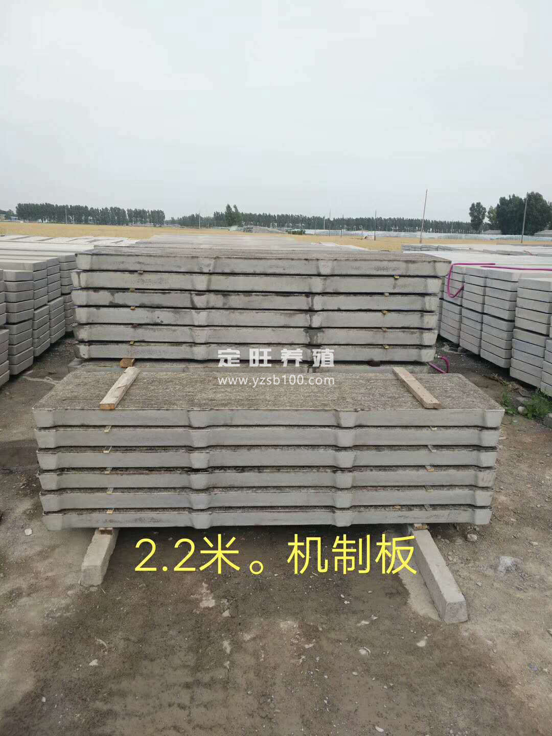 水泥漏粪板