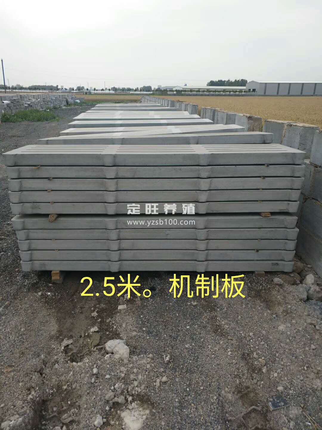 水泥漏粪板