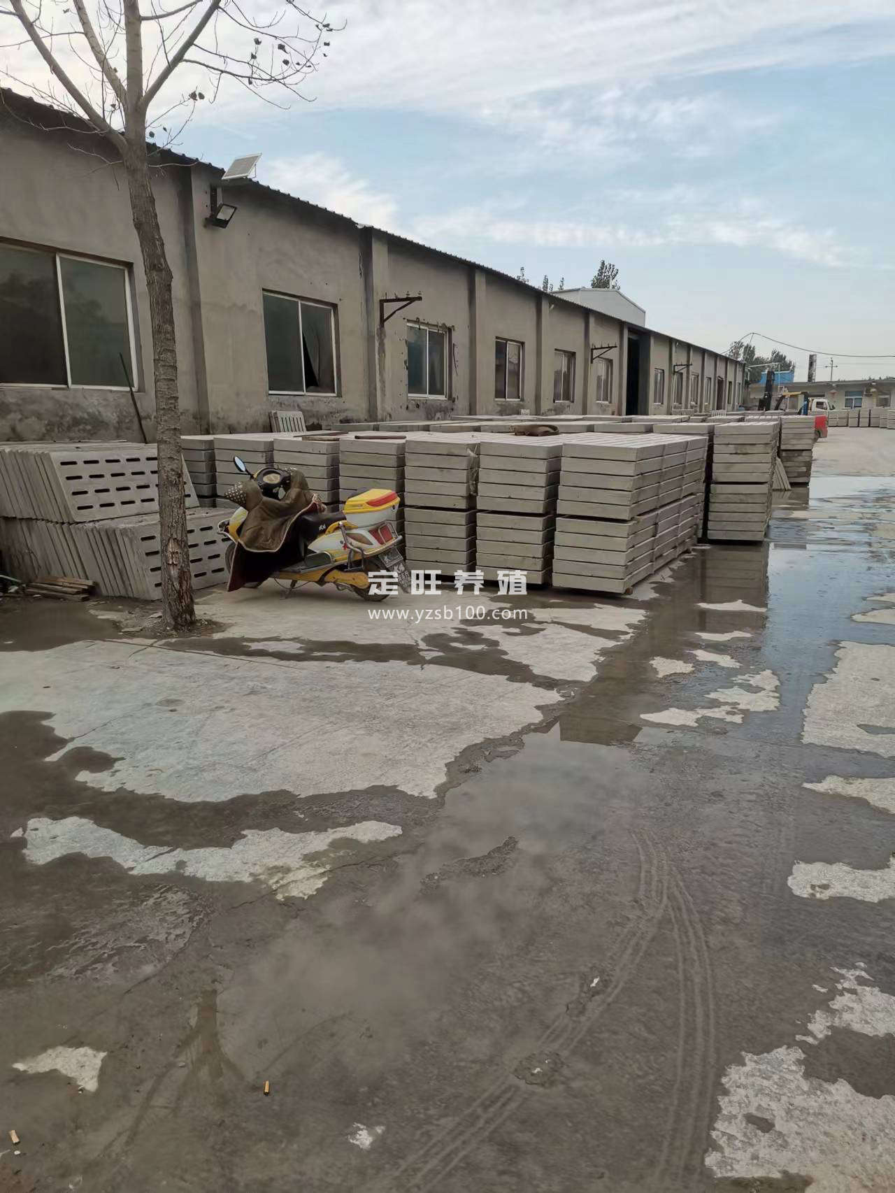 水泥漏粪板