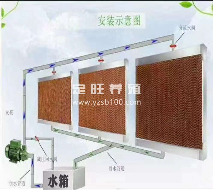 水帘